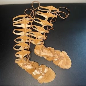 Schutz tan suede tall gladiator sandals size 6.5